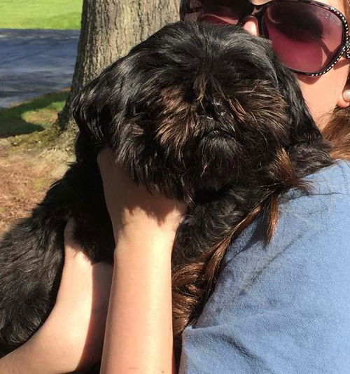 Sasha: Fostered