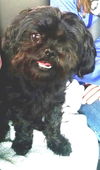 Sasha: Fostered