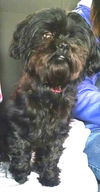 Sasha: Fostered