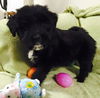 Lisel: Fostered