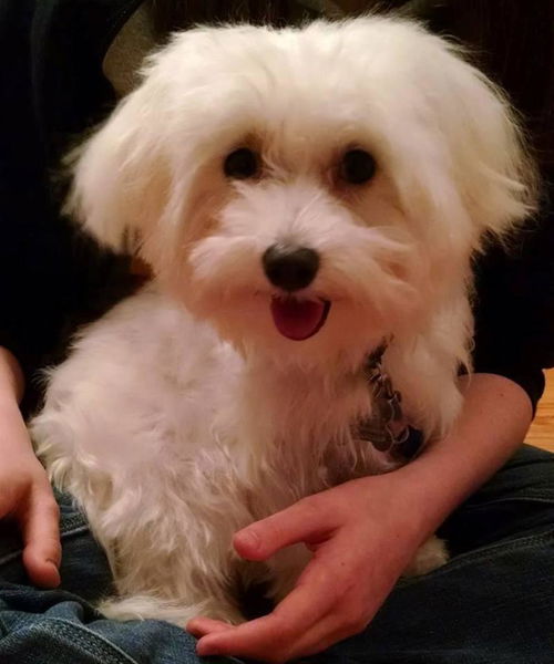 Casper: Fostered
