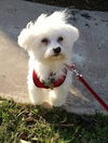 Casper: Fostered