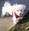 Casper: Fostered
