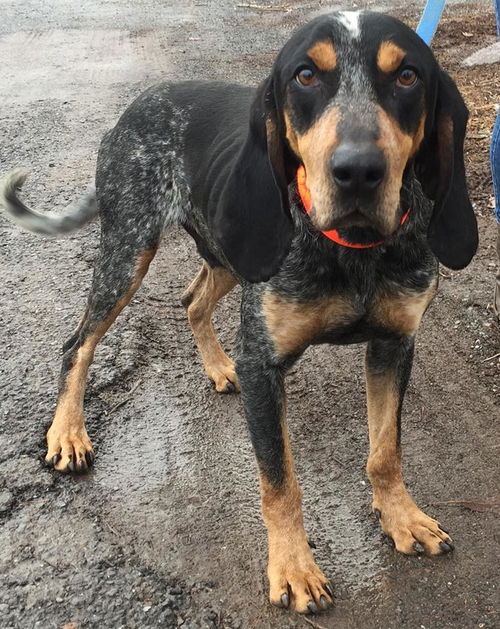 Sam: Fostered