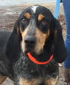 Sam: Fostered