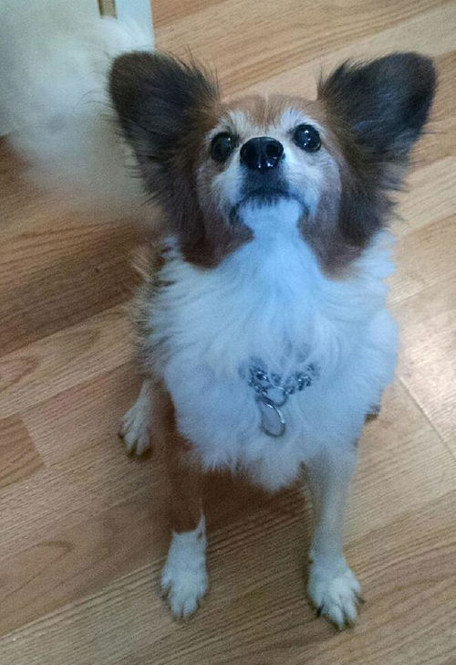 Titan: Fostered