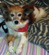 Titan: Fostered