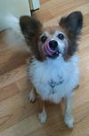 Titan: Fostered