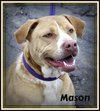 Mason