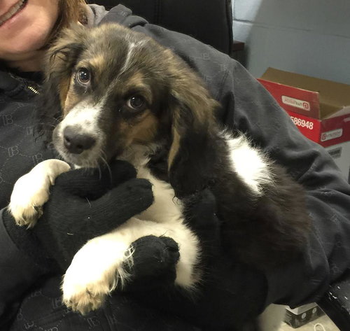 Tucker: Fostered