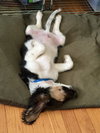 Tucker: Fostered