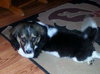 Tucker: Fostered