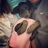 Lylah: Fostered