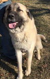 Marco