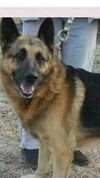 Samson