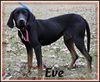 Eve