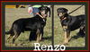 Renzo-URGENT!