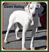 Gwen Hailey-Sponsored Spay!