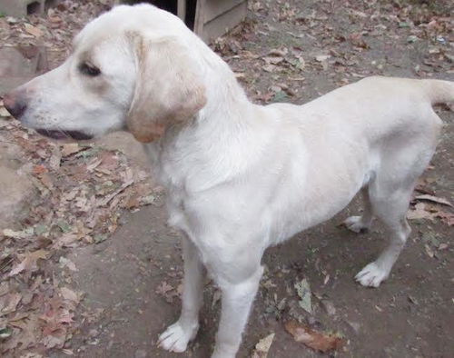 Marley-URGENT!