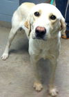 Marley-URGENT!