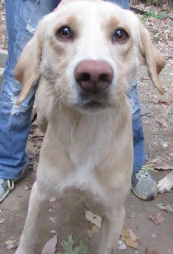 Tippy-URGENT!
