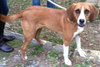 Maybelle-Reclaimed!