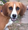 Maybelle-Reclaimed!