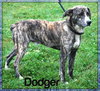 Dodger-Reclaimed!