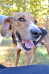 Digger-URGENT!