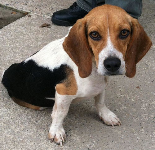 Shiloh-URGENT!