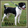 Max-URGENT!
