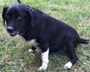Luna-Reclaimed!