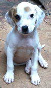 Lucy