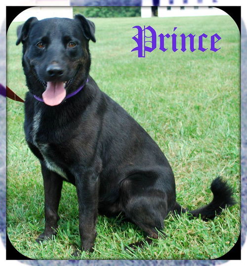 Prince