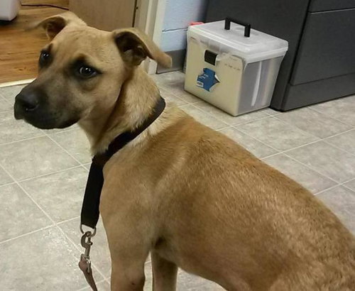 Hoss-URGENT!