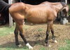 Breezing