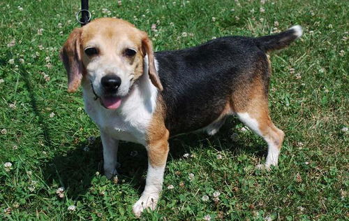Tommy-URGENT!!