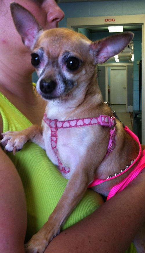 Princess