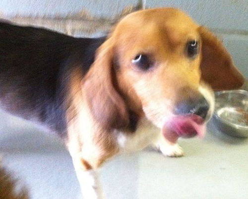 Ethel-Reclaimed!