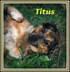 Titus
