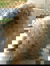 Price