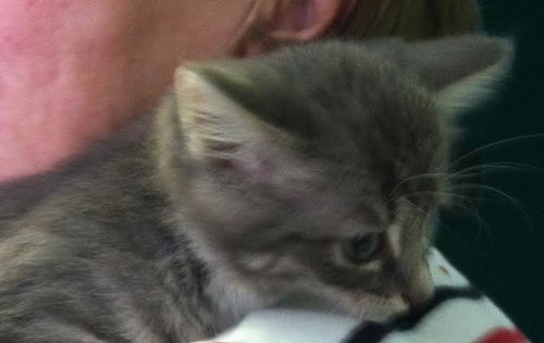 Baby Meredith