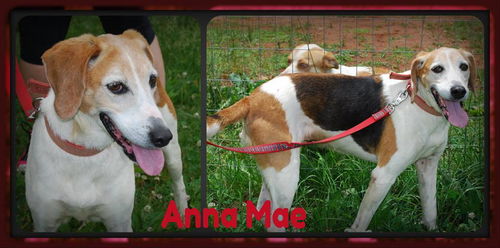 Anna Mae
