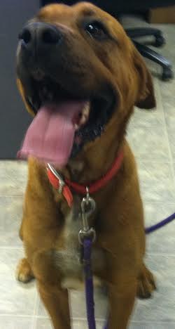 Tyson