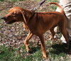 Mason