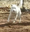 Casper-Reclaimed!