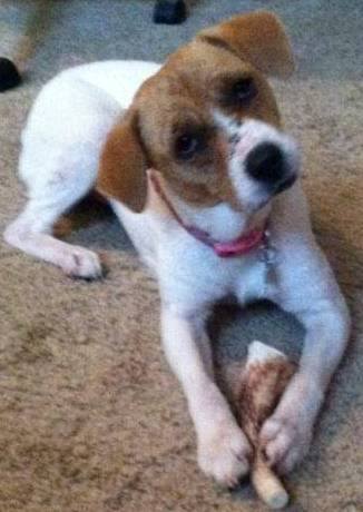 Sandy aka Sadie