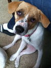 Sandy aka Sadie
