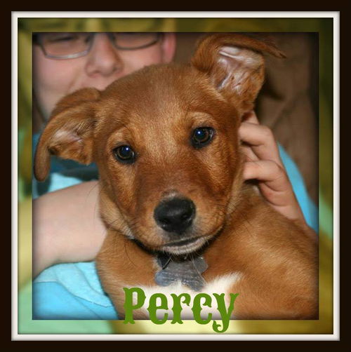 Percy