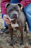 Silver Bullet/Reclaimed!